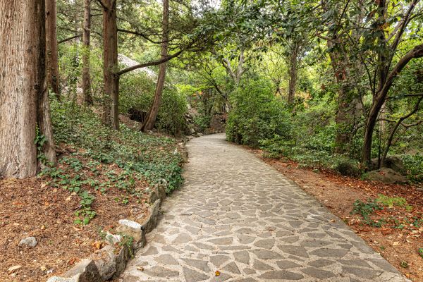 Stone Walkway Repair in Lees Summit