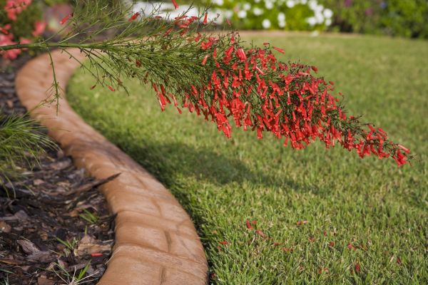 Brick Edging in Lees Summit