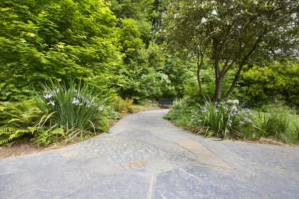 Stone Hardscape Service in Lees Summit